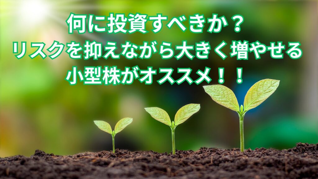 何に投資すべきか?リスクを抑えながら大きく増やせる小型株がオススメ!!